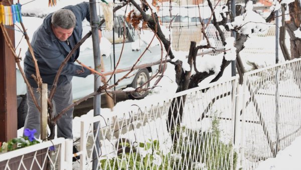 УЗЕЛИ СТВАР У СВОЈЕ РУКЕ: Јагодинци се латили лопата да би очистили снег
