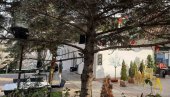 OVO JE MESTO GDE JE ISPALJENA ZOLJA: Kafić u Rakovici za dve nedelje napadnut dva puta! (FOTO)