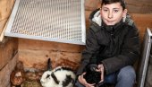 NAJMLAĐI BIZNISMEN U SRPSKOJ: Branko Antić (11) iz Modriče prodaje prepeličja jaja