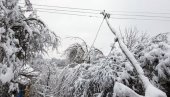 TEŠKO BEZ DNEVNIKA  I ZAMRZIVAČA: Žitelji sela podno Stare planine, na teritoriji Svrljiga, već desetak dana žive bez struje (VIDEO)