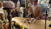 SVETI SAVA JE NAŠ UČITELJ DOK NAS IMA: Vladika bački Irinej povodom proslave dana prvog Arhiepiskopa Srpske Crkve