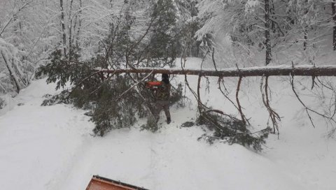 ПРОГЛАШЕНА ВАНРЕДНА СИТУАЦИЈА: Због снега у Црној Трави општина остала без струје