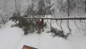 PROGLAŠENA VANREDNA SITUACIJA: Zbog snega u Crnoj Travi opština ostala bez struje