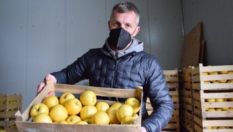 ОД ЈАБУКА ЈЕДВА И РАКИЈА: Браћа Петровић из Јагодине купила воћњак и - разочарала се