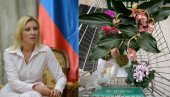 MIRISNA SETVA: Marija Zaharova rešila da se oproba u vrtlarstvu