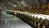 EVIDENTAN RAST PROIZVODNJE: U Srbiji registrovano 430 proizvođača vina