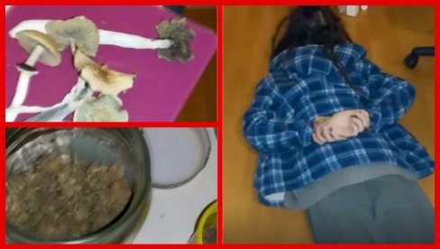 SNIMAK MUNJEVITE AKCIJE POLICIJE! Razbili laboratoriju za uzgoj pečuraka, zaplenjene ogromne količine opijata (VIDEO)
