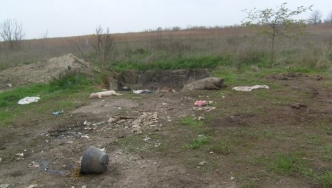 ЗАШТИТИЛИ СЕЛО ОД ЛЕШИНА: Еколози спречили да се у Бачком Брестовцу формира општинска депонија угинулих животиња