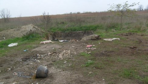 ZAŠTITILI SELO OD LEŠINA: Ekolozi sprečili da se u Bačkom Brestovcu formira opštinska deponija uginulih životinja