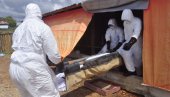 СЗО: Идентификован трећи случај еболе у Конгу