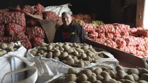 PRODAJE SE KROMPIR IZ HRVATSKE, ILI ALBANIJE, A NAŠ TRULI: Gnevni poljoprivrednici poručuju - zar kilogram vredi 8 dinara?! (FOTO)