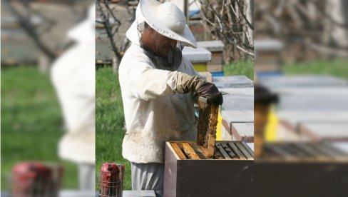 ЗА ТРИ ДАНА ПРИЈАВА ЗБОГ МЕДА: Купци се на квалитет жале инспекцији и Савезу пчеларских организација, очекују се резултати за 160 узорака