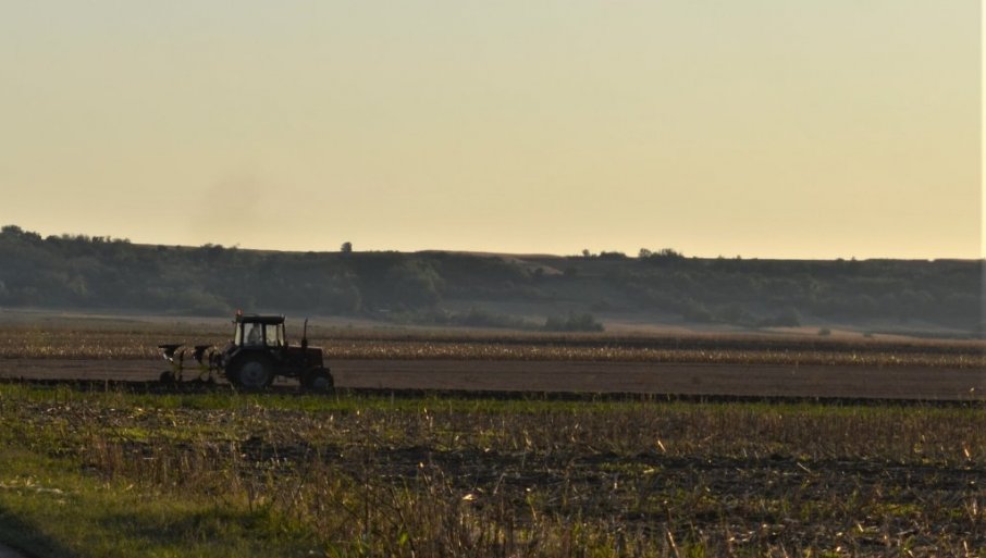Prihod Srbije: Od zakupa poljoprivrednog zemljišta pet milijardi godišnje, 40 posto ide u republički budžet