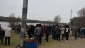 TELIMA BRANE POLOJSKU ŠUMU: Borci za očuvanje prirode u Bačkoj Palanci protestuju protiv seče hrastova
