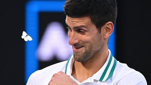 NOVAK MORAO DA SAVLADA NEOČEKIVANOG PROTIVNIKA: Leptir leteo oko Đokovićeve glave i smetao mu da servira (FOTO)