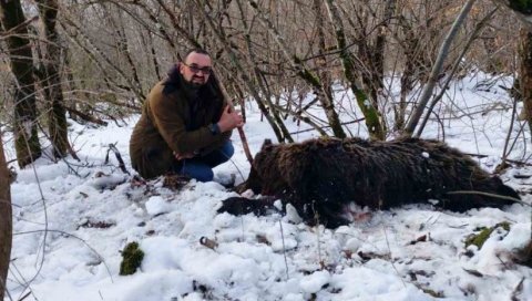 ПРИТВОР ЗА ДВОЈИЦУ „ЛОВАЦА“:  Беранци одстрелили мечку - догађај узнемирио јавност у Црној Гори
