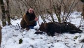 ПРИТВОР ЗА ДВОЈИЦУ „ЛОВАЦА“:  Беранци одстрелили мечку - догађај узнемирио јавност у Црној Гори