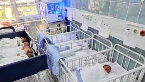 TRI BRATA: U porodilištu u Novom Sadu za dan rođeno 18 beba, među njima trojke
