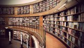 OTROVNI PAUKOVI U BIBLIOTECI: Zgrada zatvorena zbog čišćenja, više objekata je u opasnosti