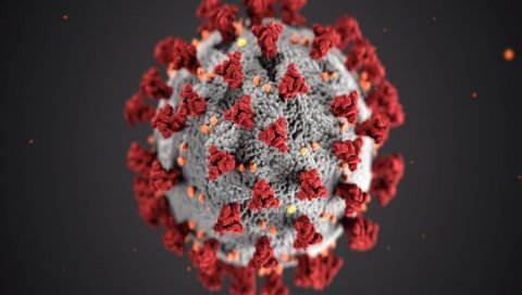 НОВА СТУДИЈА ПОТВРДИЛА: Британски сој корона вируса знатно смртоноснији