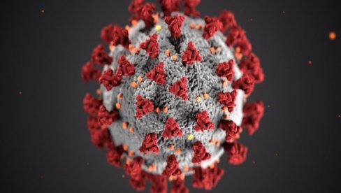 OVAJ SOJ SE ŠIRI SVETOM: U Keniji zabeležena indijska varijanta virusa korona