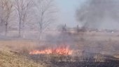 ЏАБА АПЕЛИ НАДЛЕЖНИХ: Сељаци опет пале стрњику, гори у атару између Торка и Житишта (ФОТО)