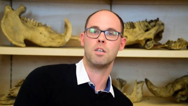ТРАНСИЛВАНИЈА НИЈЕ САМО ДОМОВИНА ГРОФА ДРАКУЛЕ: Тим мађарског палеонтолога открио остатке диносауруса у Румунији