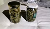 AKCIJA POLICIJE U ZEMUNU: U stanu muškarca sa poternice pronađene tegle sa marihuanom, podneta krivična prijava protiv osumnjičenog