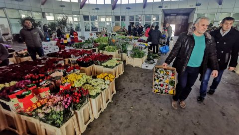 УОЧИ ДАНА ЖЕНА: Београђани посетили ризницу цвећа у Крњачи (ФОТО)