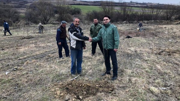 ПОСАДИЛИ ВИШЕ ОД 100 ТОПОЛА: На месту дивље депоније у вршачком селу Марковац ниче парк