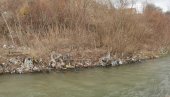 GRAĐANI ŠOKIRANI: Užasan prizor na obalama reke Raške (FOTO)