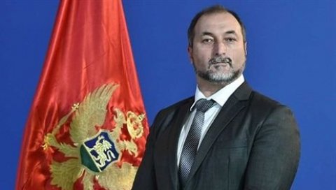 СЕКЛИ, ПА ПАЛИЛИ ШУМЕ: Министар Александар Стијовић наставља са сређивањем стања у шумарству