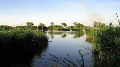 PARK PRIJATELJSTVA U ČESTEREGU: Zrenjanin dobija zelenu oazu pored jezera