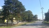 RASTINJEM ŠTITE LOKALNI PUT BARANDA–SAKULE: Opština Opovo dobila 1,8 miliona dinara za podizanje zelenog pojasa