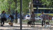 ПЕТ-ЗОНЕ МАЊЕ ПОПУЛАРНЕ: Поједини грађани траже изградњу нових паркова за псе, док су други против