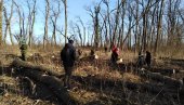 HRAST PREŽIVEO DO JESENI: Narodnom inicijativom, uz podršku SO, prekinuta seča Polojske šume u Bačkoj Palanci
