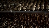 ФРАНЦУСКА ЈЕ ОДГОВОРНА! Историчари о геноциду у Руанди