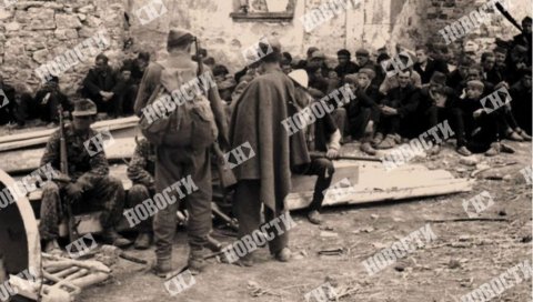 ЈОШ 130 ЖРТАВА ПОКОЉА  У ВЕЛИЦИ? Ближи се крај сакупљању података о убијенима у највећем злочину у Црној Гори у Другом светском рату