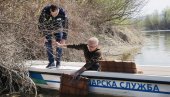GNEZDA ZA MREST SMUĐA UZ OBALU: Pokreće se niz novih akcija na zaštiti i unapređenju ribljeg fonda Dunava
