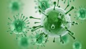 EPIDEMILOŠKA SITUACIJA U PČINJSKOM OKRUGU: 100 novozaraženih korona virusom od 371 testiranog