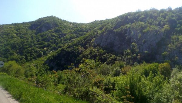 АКЦИЈА  ПЛАНИНАРСКОГ САВЕЗА СРБИЈЕ: У суботу „Хомољски планинарски маратон“