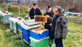 NEPOZNATA BOLEST NAPALA PEČELINJAKE: Za godinu dana nestalo 700 pčelinjih društava