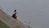 BRUKA I SRAMOTA! Užasan snimak iz Novog Sada - U Dunav bacili tri kese plastičnih flaša i otišli (VIDEO)