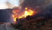VELIKI POŽAR U GRČKOJ: Vatrenu stihiju gase i iz aviona,  vlasti apelovale na meštane da se evakuišu (FOTO)