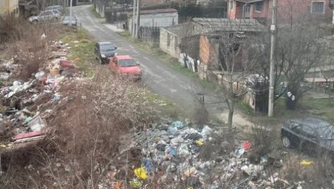 СЕДАМ ГОДИНА УЗ  ДИВЉУ ДЕПОНИЈУ: У Миријевској улици Јованке Радаковић не могу да се реше сметлишта