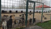 VETERINARKSA INSPEKCIJA SUTRA NA TERENU: Biće obavljena kontrola svih prihvatilišta za pse u Srbiji