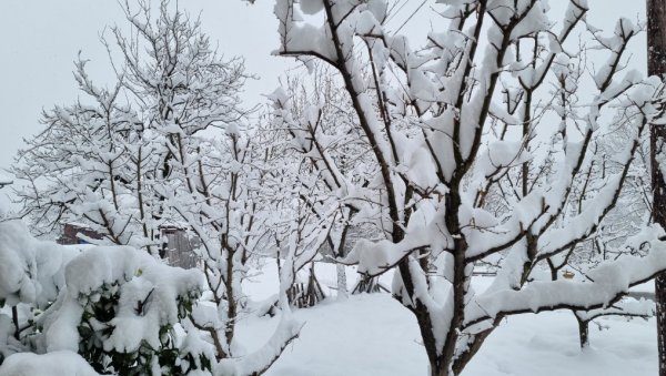 ЗАБЕЛЕЛА СЕ СРБИЈА: Пао је први снег, а за викенд нас очекује и пад температуре! (ФОТО / ВИДЕО)