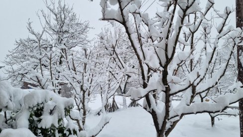ZABELELA SE SRBIJA: Pao je prvi sneg, a za vikend nas očekuje i pad temperature! (FOTO / VIDEO)