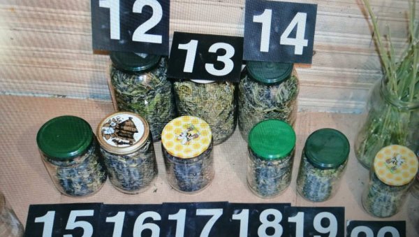 АКЦИЈА ГНЕВ СЕ НАСТАВЉА: У Алексинцу ухапшене три особе због производње марихуане