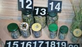 AKCIJA GNEV SE NASTAVLJA: U Aleksincu uhapšene tri osobe zbog proizvodnje marihuane
